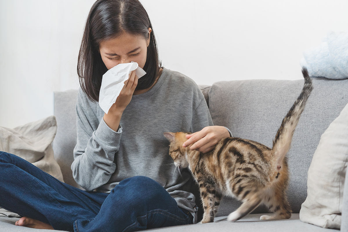 Infographic: 4 Ways To Control Indoor Allergens To Improve Your Air Quality