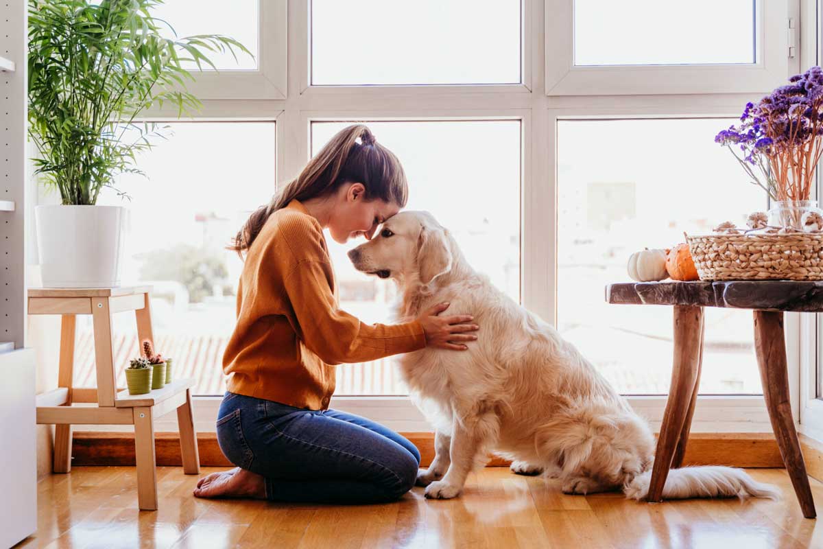 Eliminate Allergy-Inducing Pet Dander From The Air You Breathe!