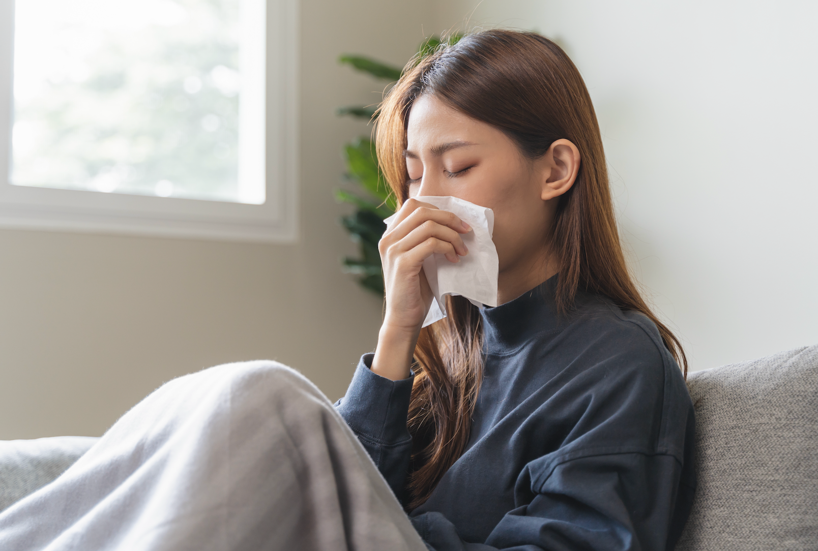 Why Air Purification is Essential for Cold and Flu Season