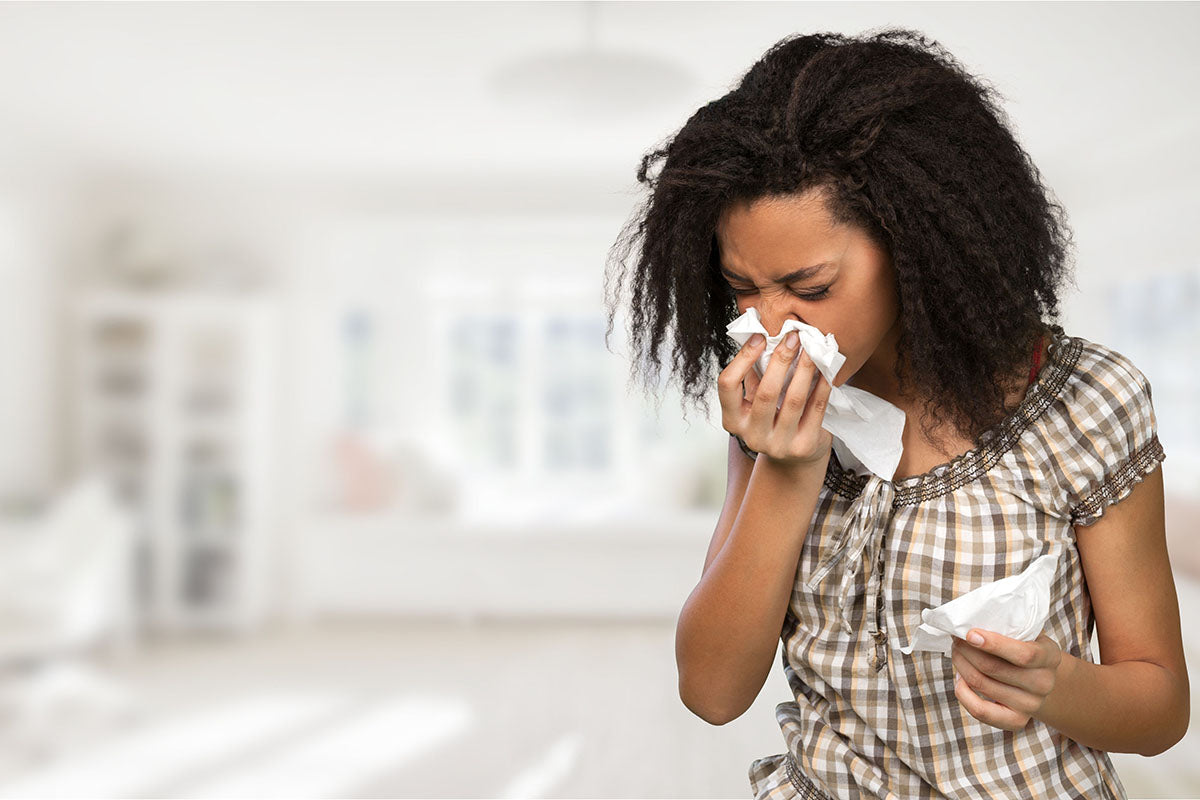 How To Control Indoor Allergens