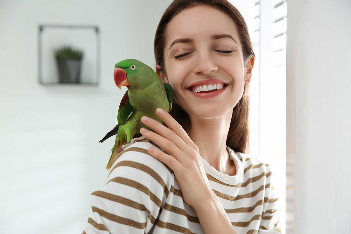 Pet Birds & Indoor Air Quality